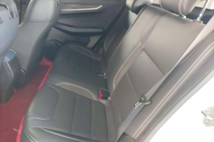 Used Geometry EX3 Kung Fu Cow 2021 Tough Bull Cow Left Rear Seat