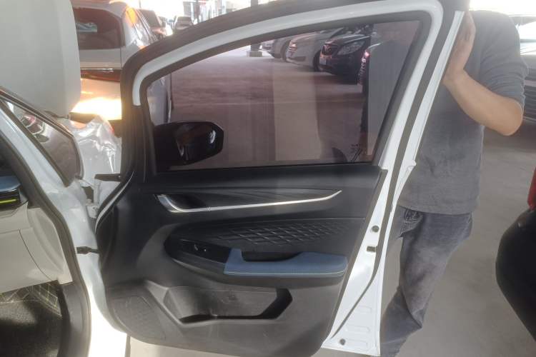 Used Geometry EX3 Kung Fu Cow 2021 Kungfu NiuNiu Right Front Door Interior