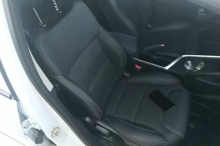 Used Geometry EX3 Kung Fu Cow 2021 Tough Bull Cow Right Front Seat