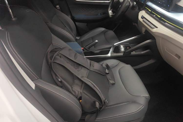 Used Geometry EX3 Kung Fu Cow 2021 Tough Bull Cow Right Front Seat