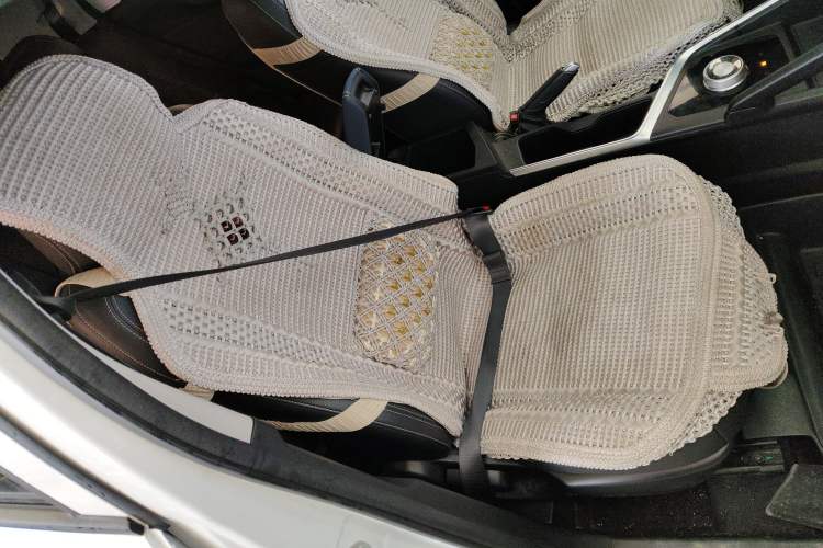 Used Geometry EX3 Kung Fu Cow 2021 Tough Bull Cow Right Front Seat