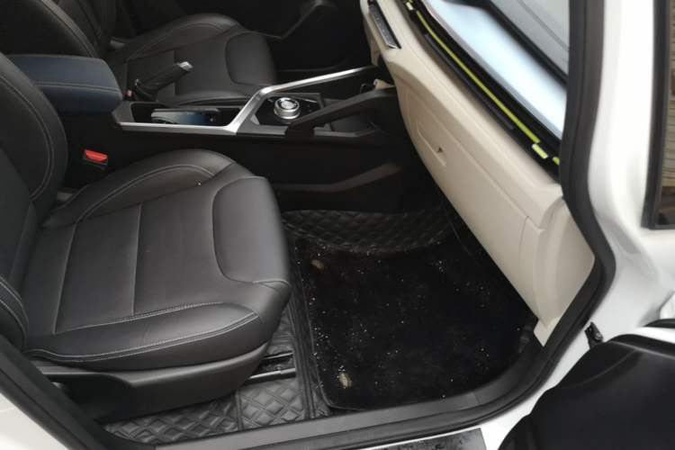 Used Geometry EX3 Kung Fu Cow 2021 Tough Bull Cow Right Front Seat
