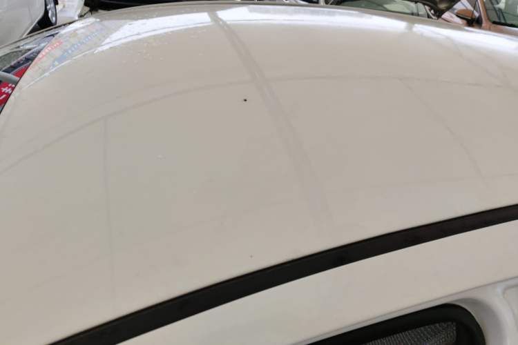 Used Geometry EX3 Kung Fu Cow 2021 Tough Bull Cow Roof