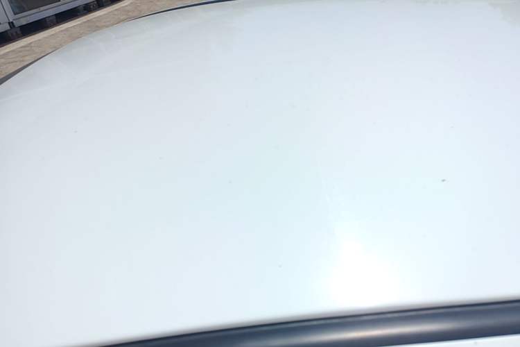 Used Geometry EX3 Kung Fu Cow 2021 Tough Bull Cow Roof