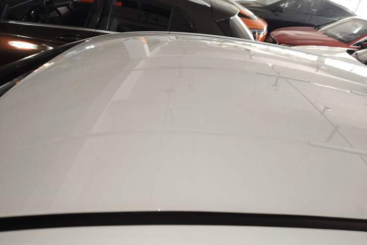 Used Geometry EX3 Kung Fu Cow 2021 Tough Bull Cow Roof