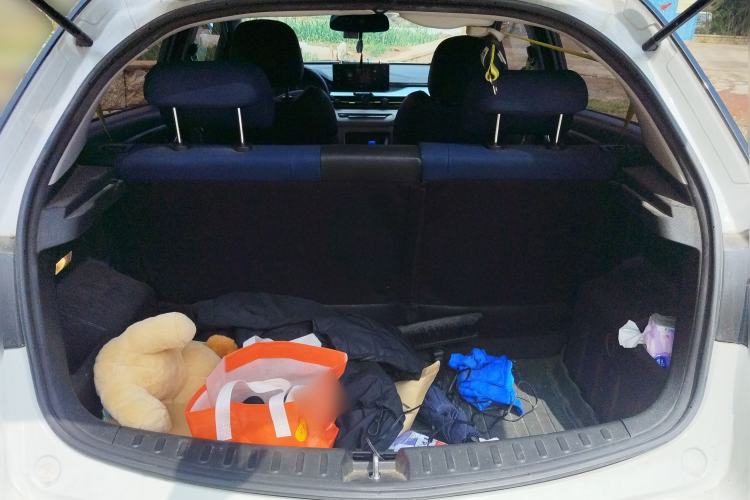 Used Geometry EX3 Kung Fu Cow 2021 Kungfu NiuNiu Trunk
