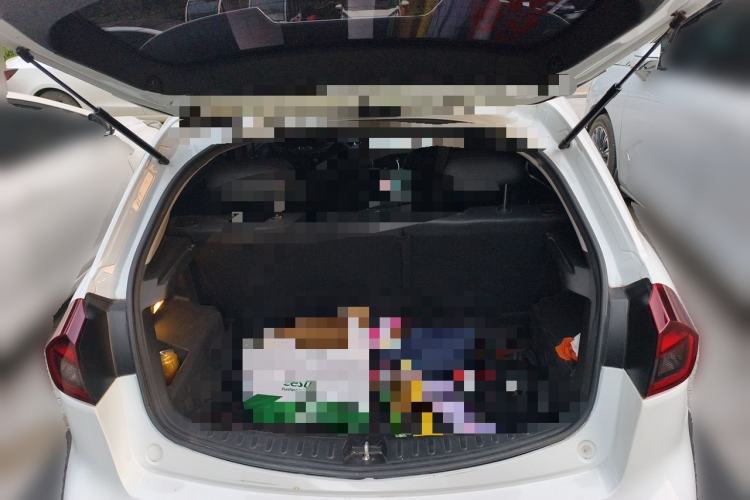 Used Geometry EX3 Kung Fu Cow 2021 Tough Bull Cow Trunk