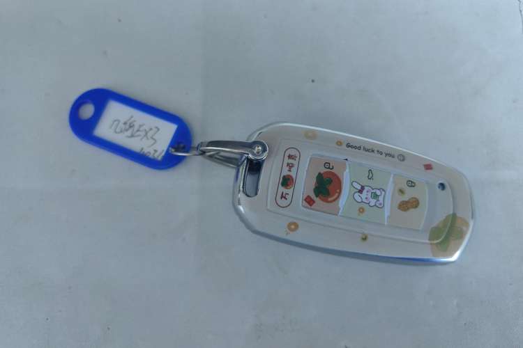 Used Geometry EX3 Kung Fu Cow 2021 Kungfu NiuNiu Vehicle Key