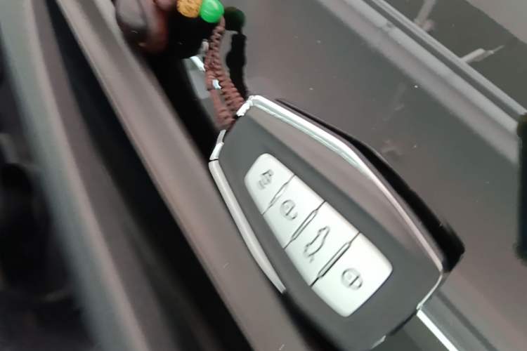 Used Geometry G6 2022 480 New Smart Type Vehicle Key