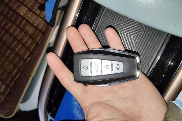Used Geometry G6 2022 620 New Fun Edition Vehicle Key