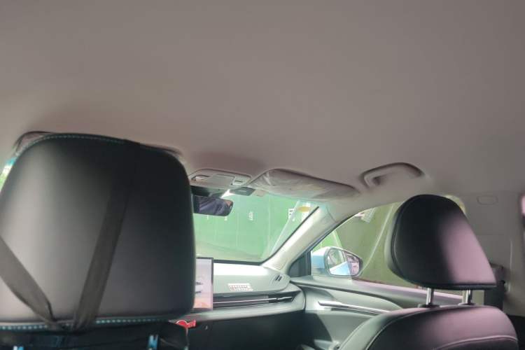 Used Geometry G6 2022 480 New Smart Type Headliner