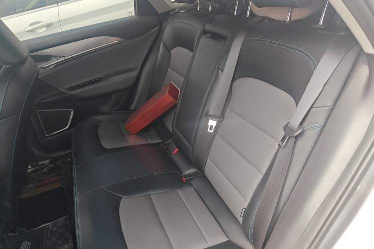 Used Geometry G6 2022 480 New Smart Type Left Rear Seat
