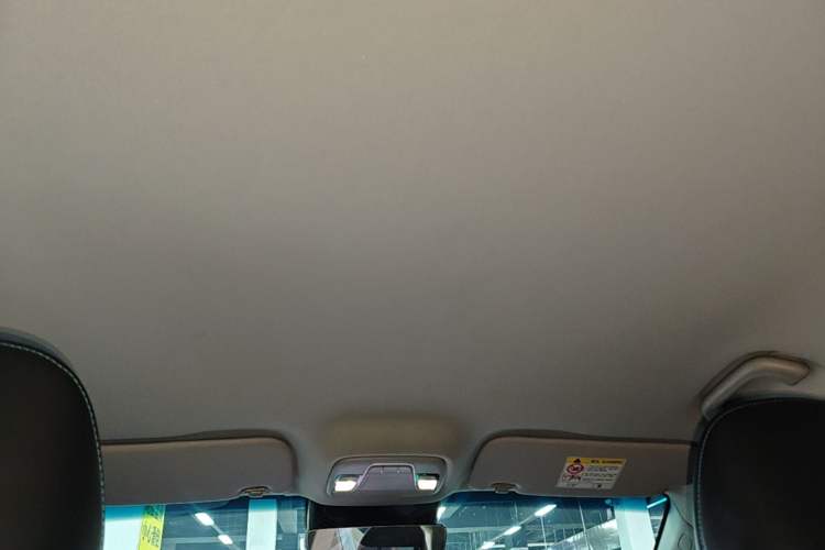 Used Geometry G6 2022 480 New Smart Type Headliner
