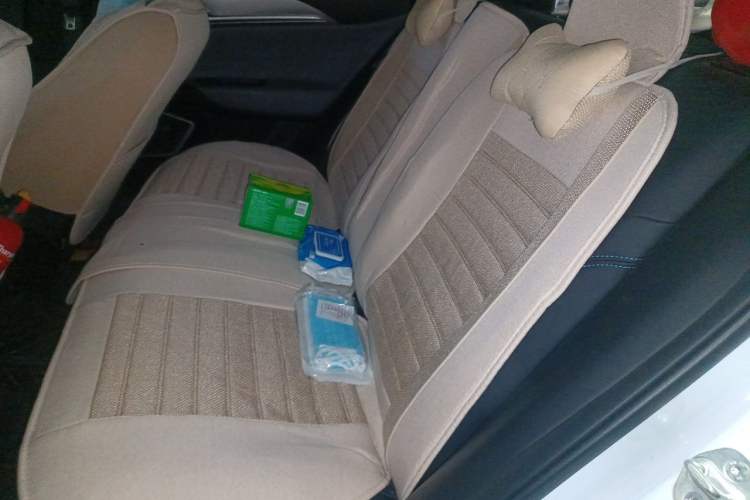 Used Geometry G6 2022 480 New Smart Type Left Rear Seat