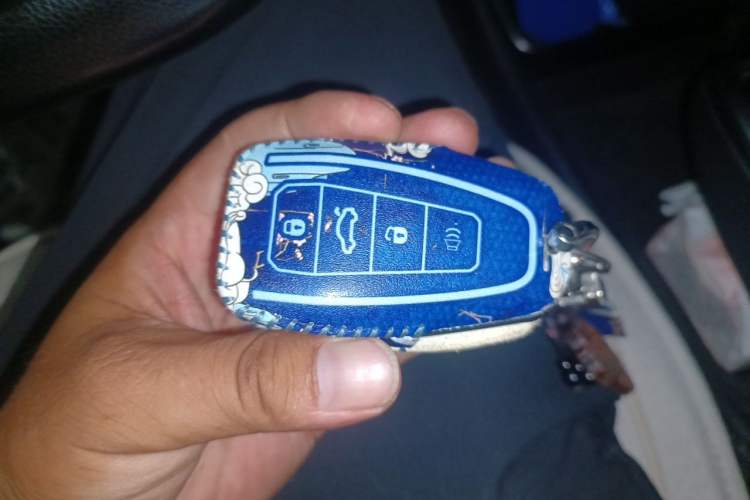 Used Geometry G6 2022 480 New Smart Type Vehicle Key