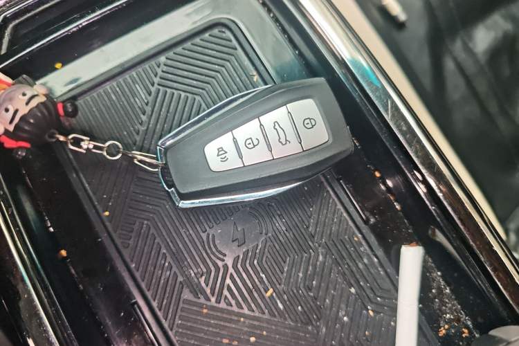 Used Geometry G6 2022 480 New Enjoyment Version Vehicle Key