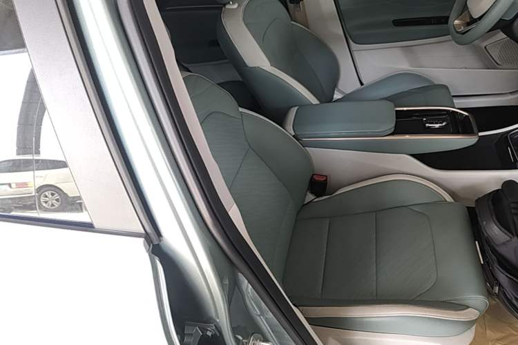 Used Geometry G6 2024 500KM Prestige Version Right Front Seat
