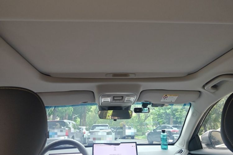 Used Geometry G6 2024 500KM Flagship Version Headliner