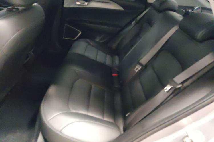 Used Geometry G6 2024 500KM Prestige Version Left Rear Seat