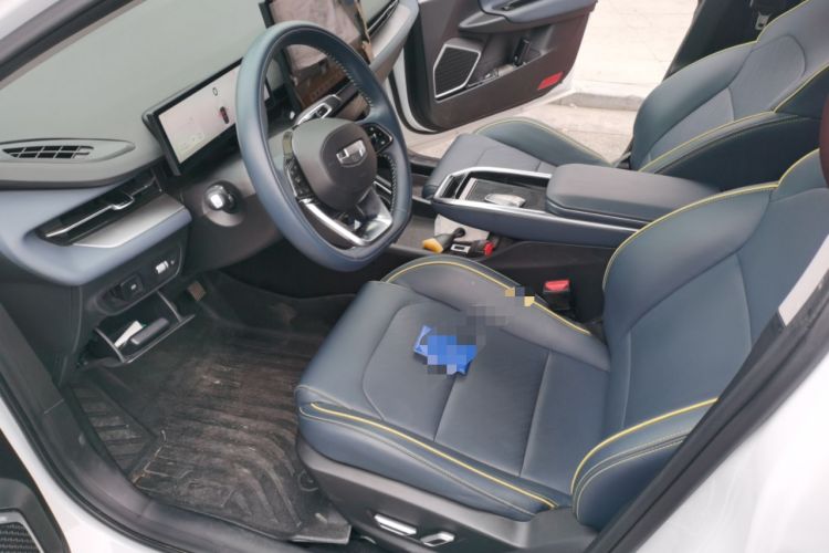 Used Geometry G6 2024 410 km Premium Version Left Front Seat