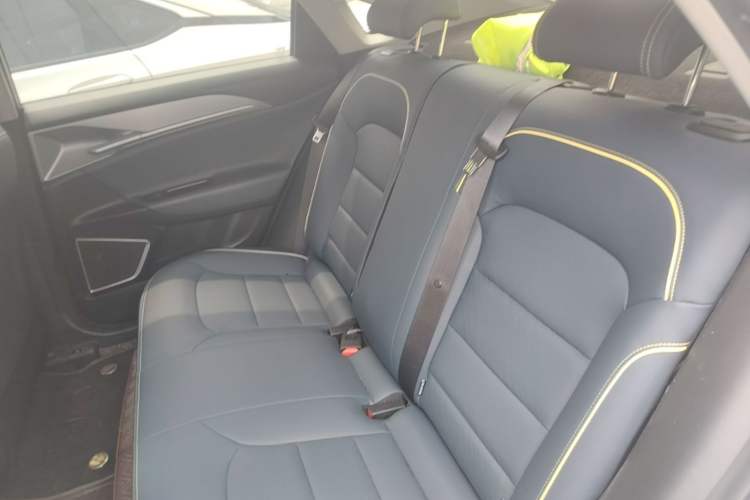 Used Geometry G6 2024 500KM Prestige Version Left Rear Seat
