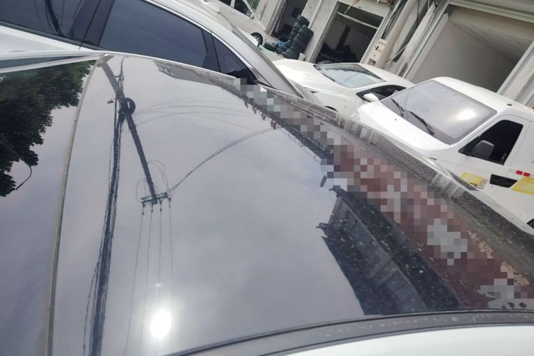 Used Geometry G6 2024 500KM Prestige Version Roof