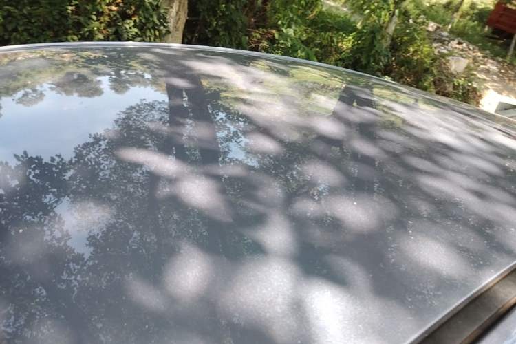 Used Geometry M6 2022 450 New Smart Type Roof