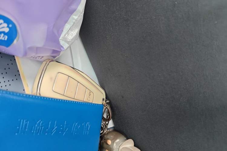 Used Geometry M6 2022 450 New Smart Type Vehicle Key