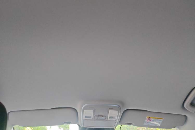 Used Geometry M6 2022 450 New Smart Type Headliner
