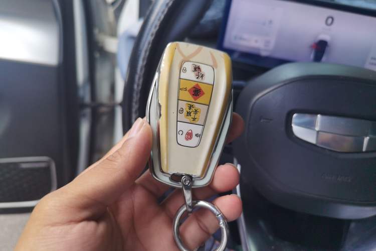 Used Geometry M6 2022 450 New Smart Type Vehicle Key