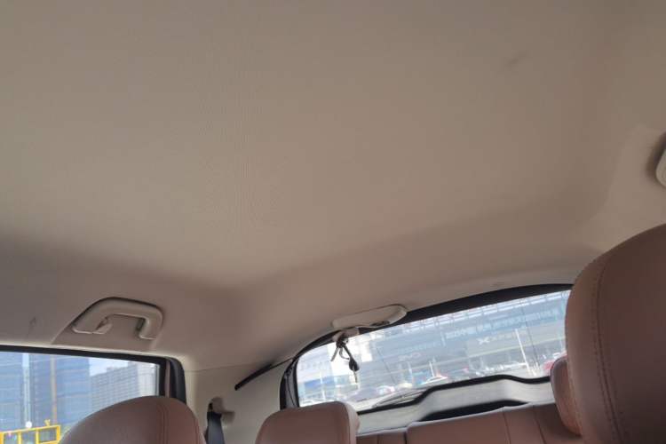 Used GLEAGLE EX3 2018 Luxury Edition Headliner