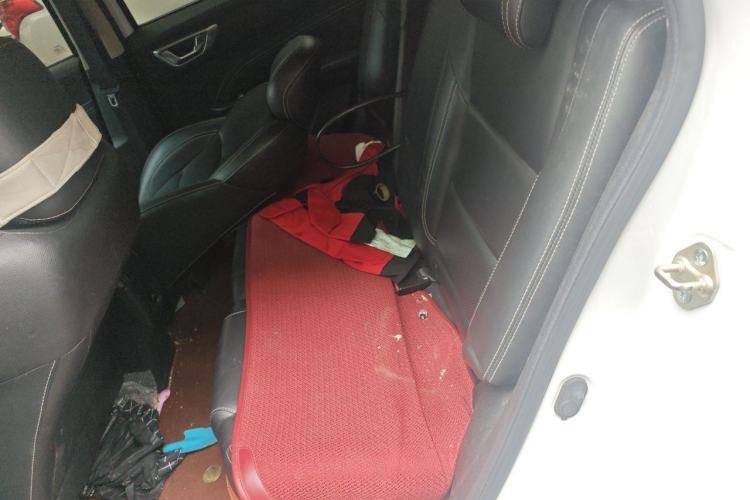 Used GLEAGLE EX3 2018 Luxury Edition Left Rear Seat