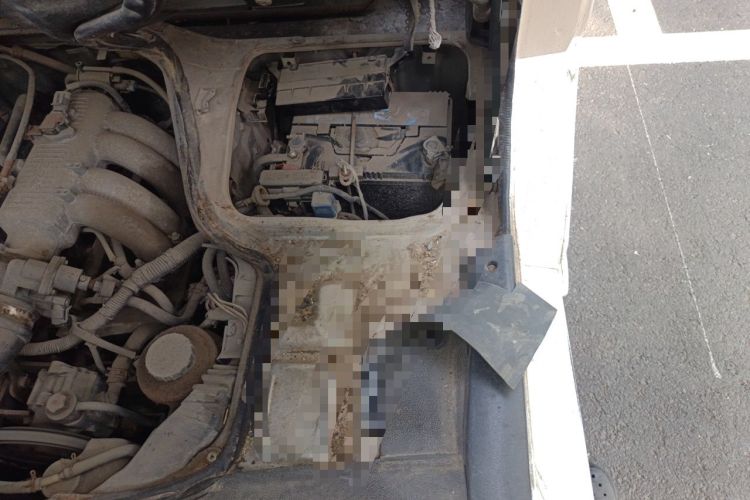Used Golden Dragon Hiace 2010 2.0L Standard-Wheelbase Premium Version V19 Engine Bay Left