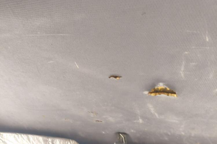 Used Golden Dragon Hiace 2010 2.2L Standard-Wheelbase Advanced Version 491Q-M Headliner