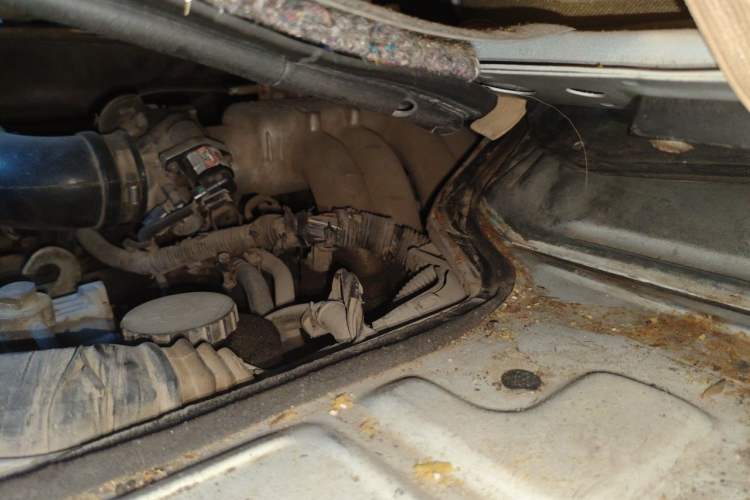 Used Golden Dragon Hiace  Engine Bay Left