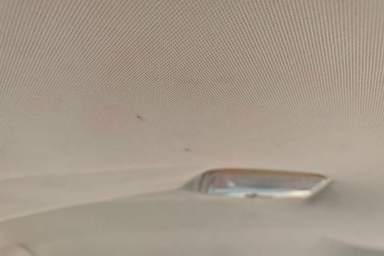 Used Great Wall C30 2013 1.5L Manual Comfort Model Headliner