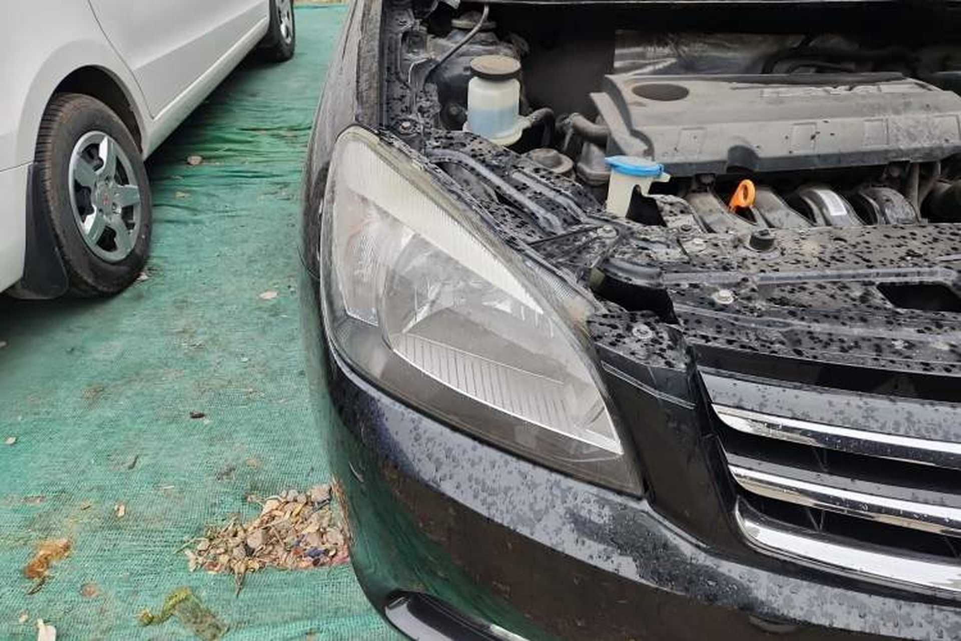 Used Great Wall C30 2013 1.5L Manual Luxury Model Right Front Headlight