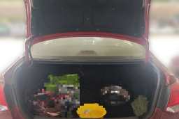 Thumbnail 20