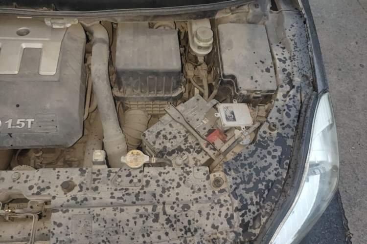 Used Great Wall C50 2013 1.5T Manual Elite Edition Engine Bay Left