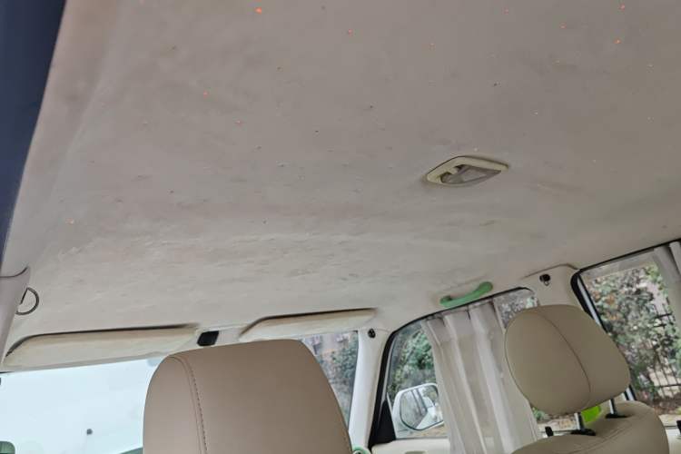 Used Great Wall Coolbear 2009 1.5L Manual Luxury Version Headliner
