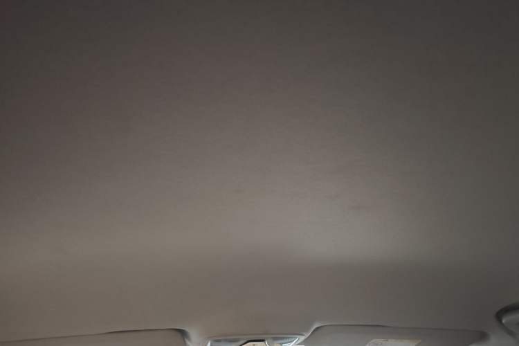 Used Great Wall King Kong Poer 2022 2.0T Manual Gasoline Two-Wheel-Drive Elite Version with Long Bed – GW4C20B Headliner