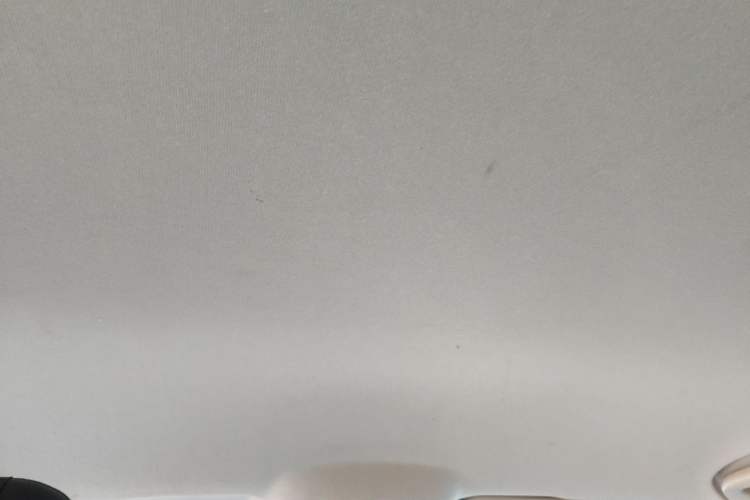 Used Great Wall King Kong Poer 2022 2.0T Manual Diesel 4x4 Elite Long-Box Version GW4D20M Headliner