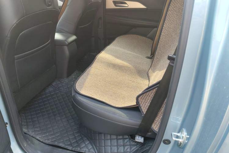 Used Great Wall King Kong Poer 2022 2.0T Manual Diesel 4x4 Elite Long-Box Version GW4D20M Left Rear Seat