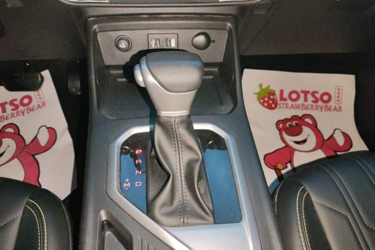 Used Great Wall King Kong Poer 2023 2.0T Automatic Diesel Two-Wheel-Drive Elite Version Flatbed GW4D20M Gear Lever