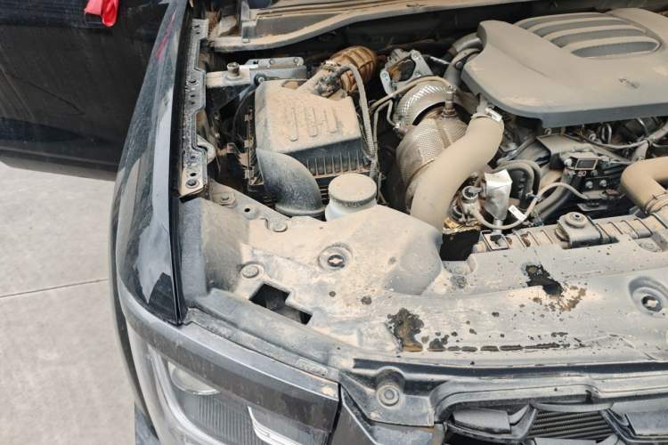 Used Great Wall King Kong Poer 2024 2.0T Manual Diesel Two-Wheel-Drive Elite Long-Box Version Engine Bay Right