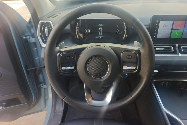 Used Great Wall King Kong Poer 2024 2.0T Automatic Diesel Two-Wheel Drive Elite Version with Long Bed Steering Wheel