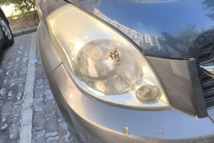 Used Great Wall M2 2010 1.5L Manual Luxury Edition Right Front Headlight