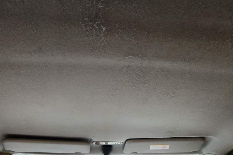 Used Great Wall M2 2010 1.5L Manual Luxury Edition Headliner