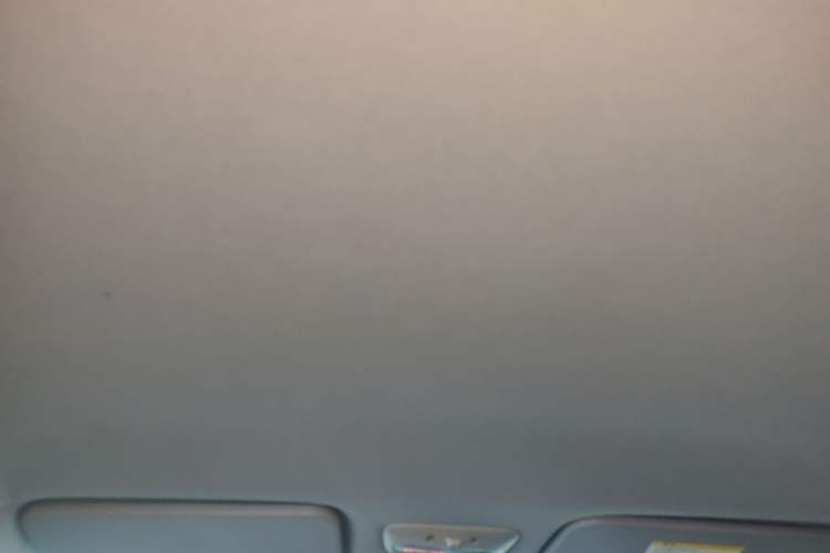 Used Great Wall M4 2012 1.5L Manual Comfort Version Headliner
