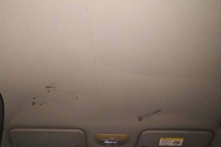 Used Great Wall M4 2012 1.5L Manual Comfort Version Headliner